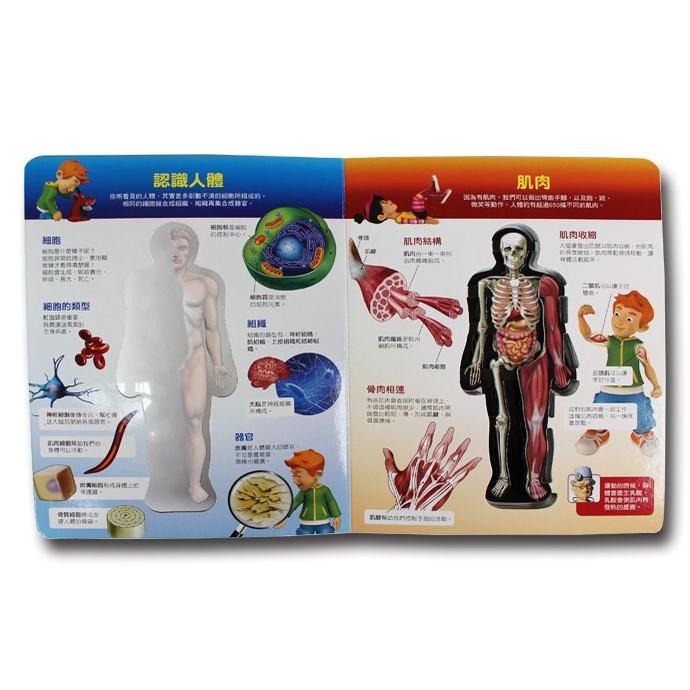 人體知識百科 風車出版 適合年齡：6歲以上 簡單易懂的文字說明幫助你輕鬆學習各種有趣的人體知識-細節圖3