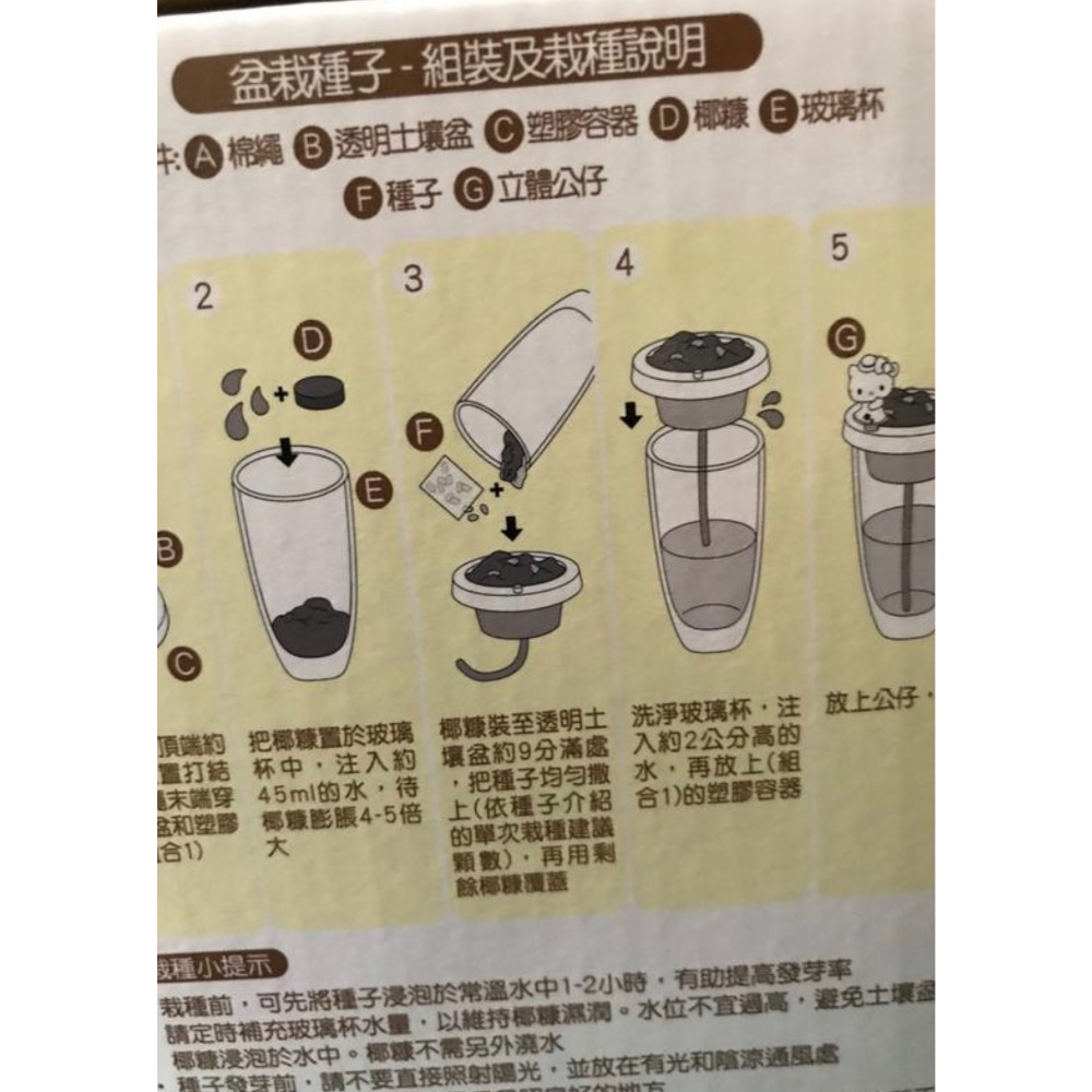 ［小咪ㄉ家］全新7-11 三麗鷗盆栽&玻璃杯組2019植得期待-細節圖2