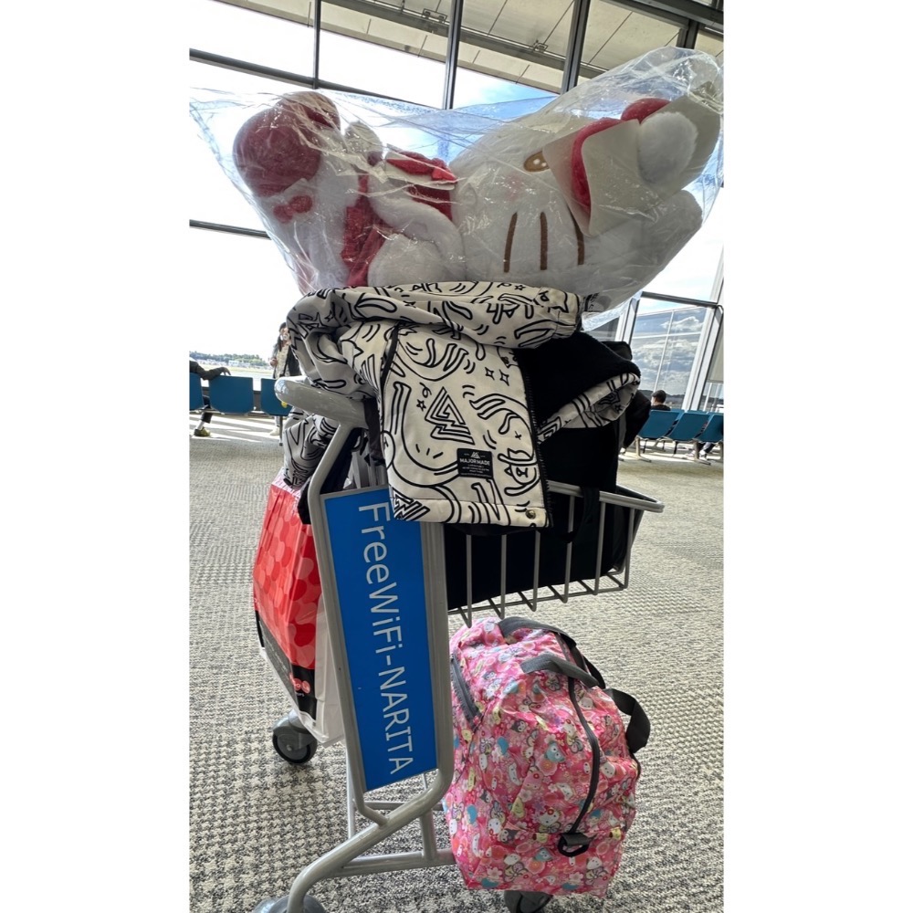 【小咪ㄉ家】全新日本帶回Hello kitty聖誕節巨無霸娃娃-細節圖2