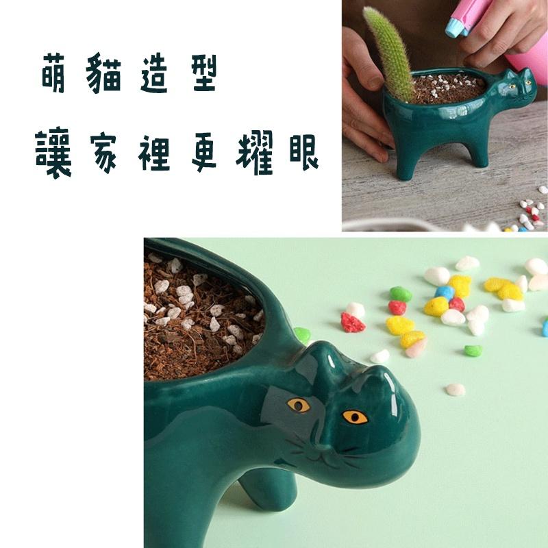 防護包裝【陶瓷貓咪多肉花盆 】淺盆花盆 花盆 貓造型花盆 陶瓷盆 栽培盆 室內盆栽 貓盆栽 仙人掌盆 多肉花盆  花器-細節圖2