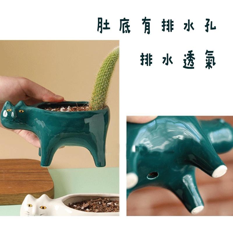 防護包裝【陶瓷貓咪多肉花盆 】淺盆花盆 花盆 貓造型花盆 陶瓷盆 栽培盆 室內盆栽 貓盆栽 仙人掌盆 多肉花盆  花器-細節圖3
