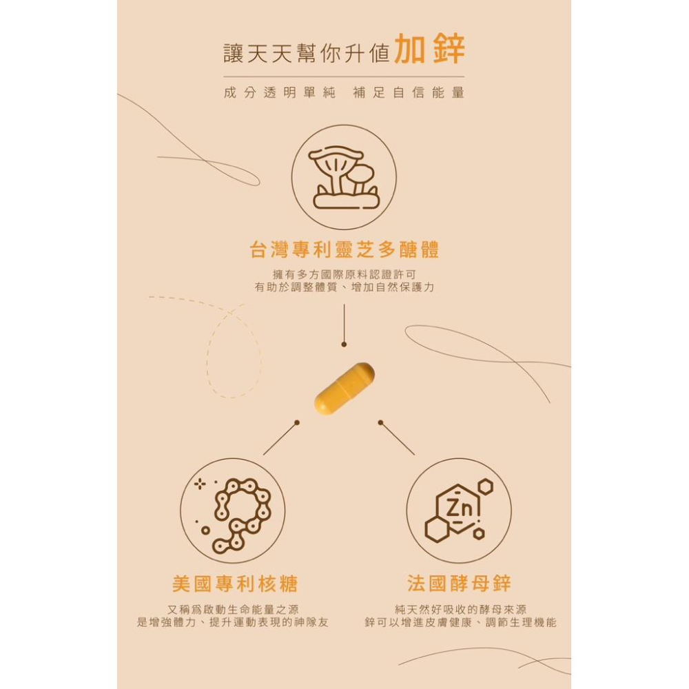 ❤️ KCWINWIN ❤️ 天天系列-酵母鋅Zinc 30粒/袋-細節圖3