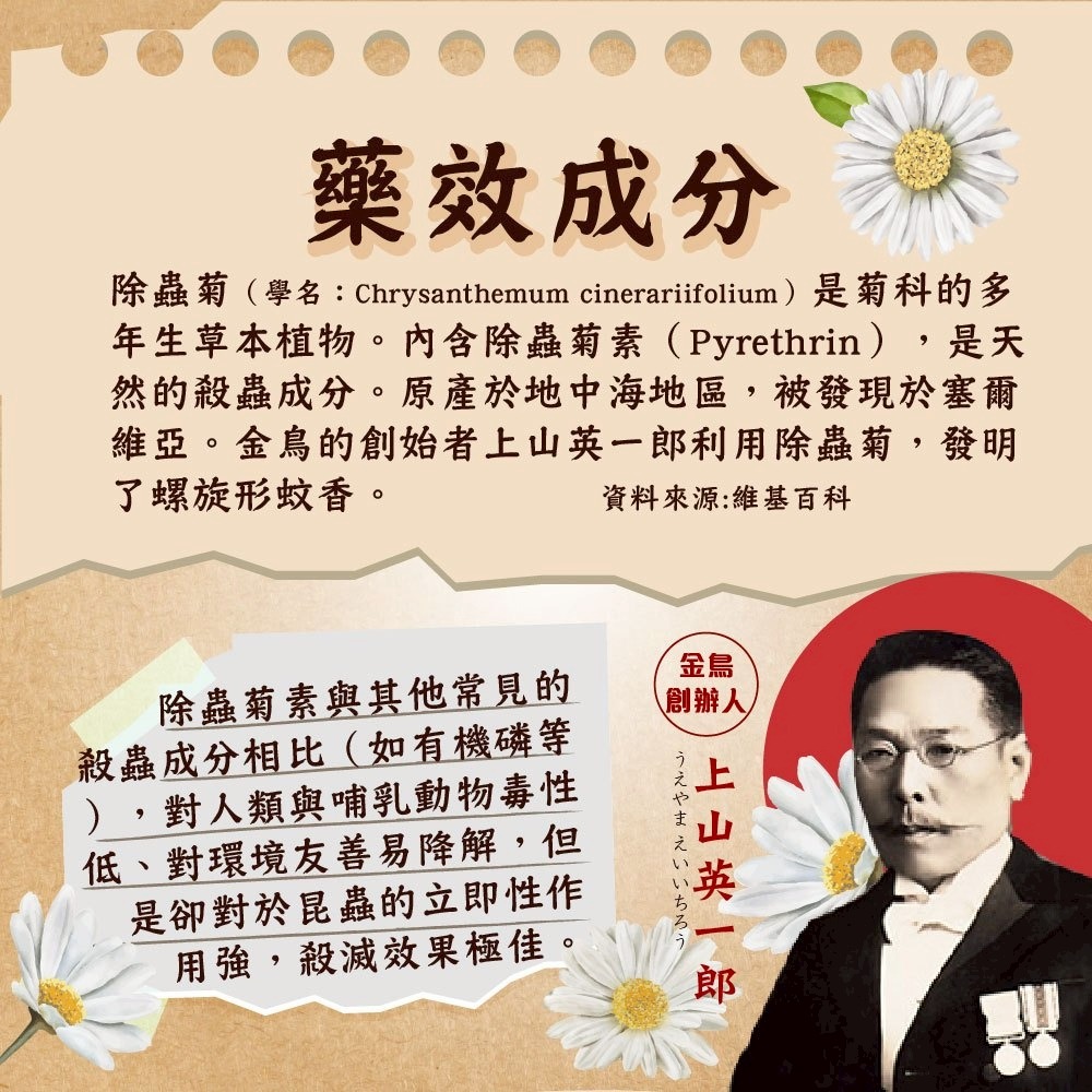 KINCHO 日本金鳥天然除虫菊渦卷蚊香 10捲入/盒(內附線香支架) <魯魯百貨>-細節圖3