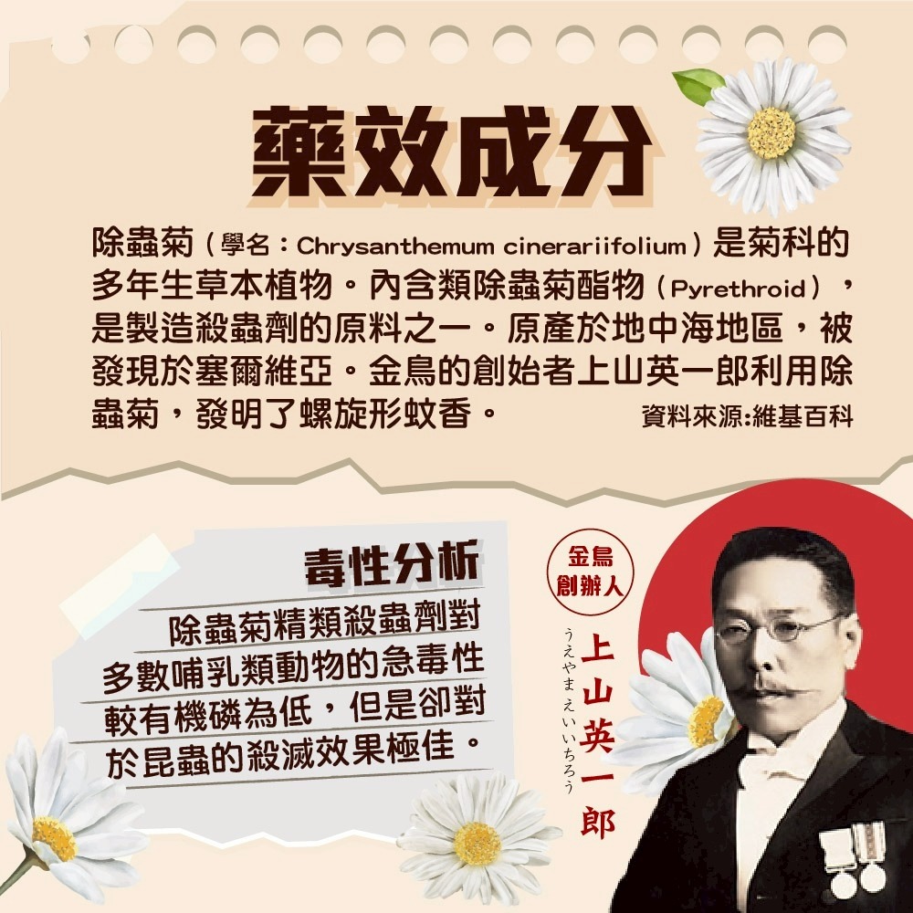 KINCHO 金鳥低刺激蚊香C 10捲/盒 <魯魯百貨>-細節圖2