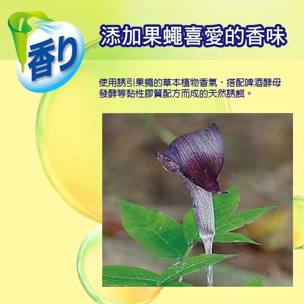 日本金鳥 KINCHO 果蠅誘捕吊掛 強效型 1入裝/2入裝 <魯魯百貨>-細節圖3