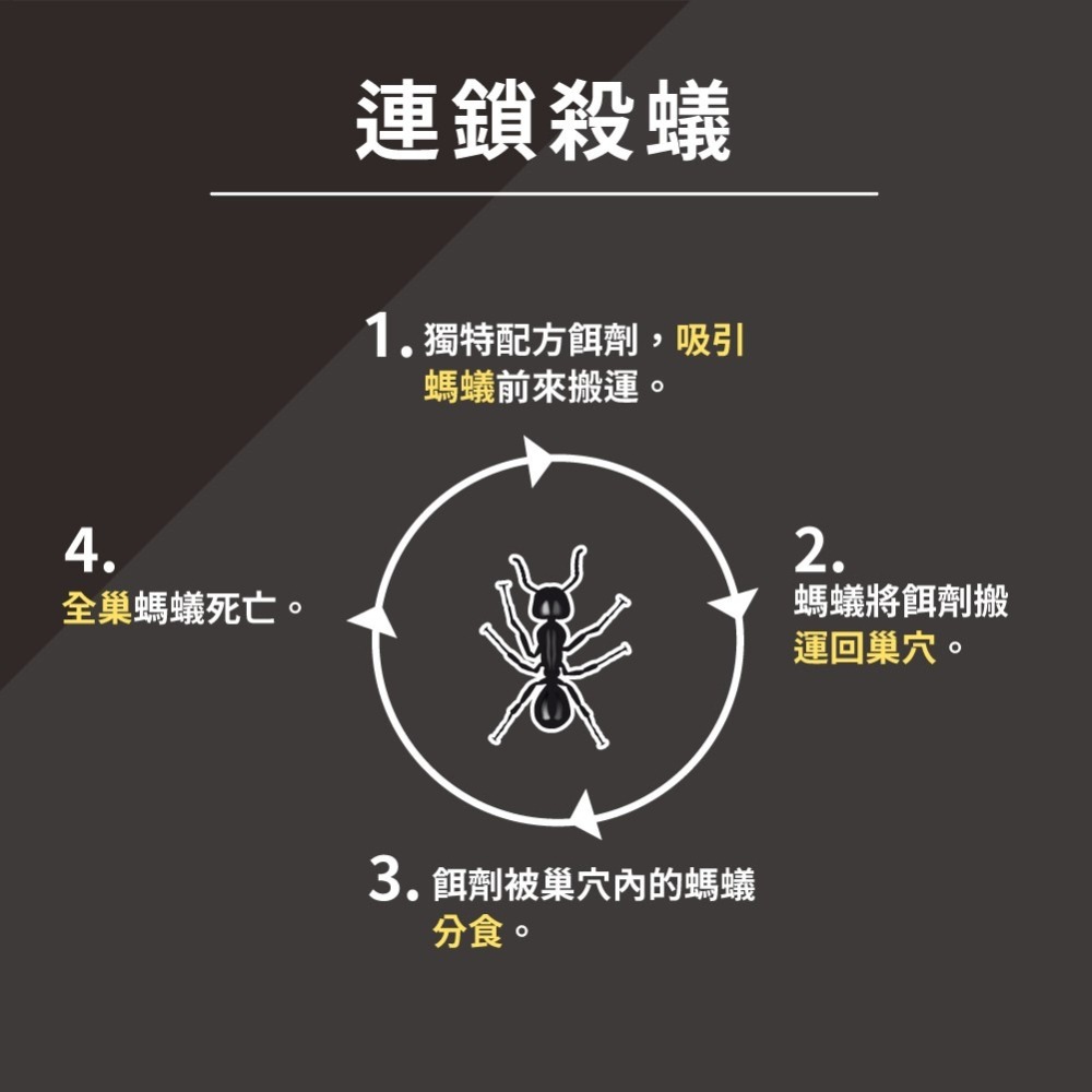 鱷魚 滅蟻攻巢連環劑-附餌站80g 附超大4入晶透餌盒 鱷魚 殺蟻餌劑 鱷魚滅蟻餌劑-細節圖3