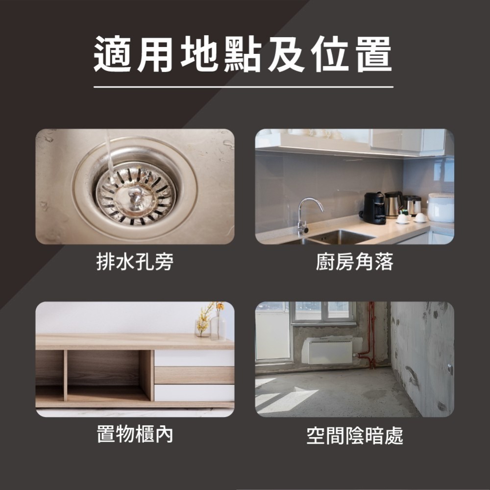 鱷魚 滅蟻攻巢連環劑-附餌站80g 附超大4入晶透餌盒 鱷魚 殺蟻餌劑 鱷魚滅蟻餌劑-細節圖6