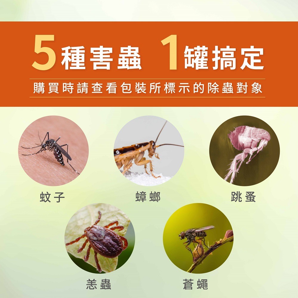 必安住 水性噴霧殺蟲劑 600ml 防治對象 蒼蠅 蚊子 蟑螂 跳蚤 恙螨 水性殺蟲劑微微香(超商取貨最多12罐)-細節圖3