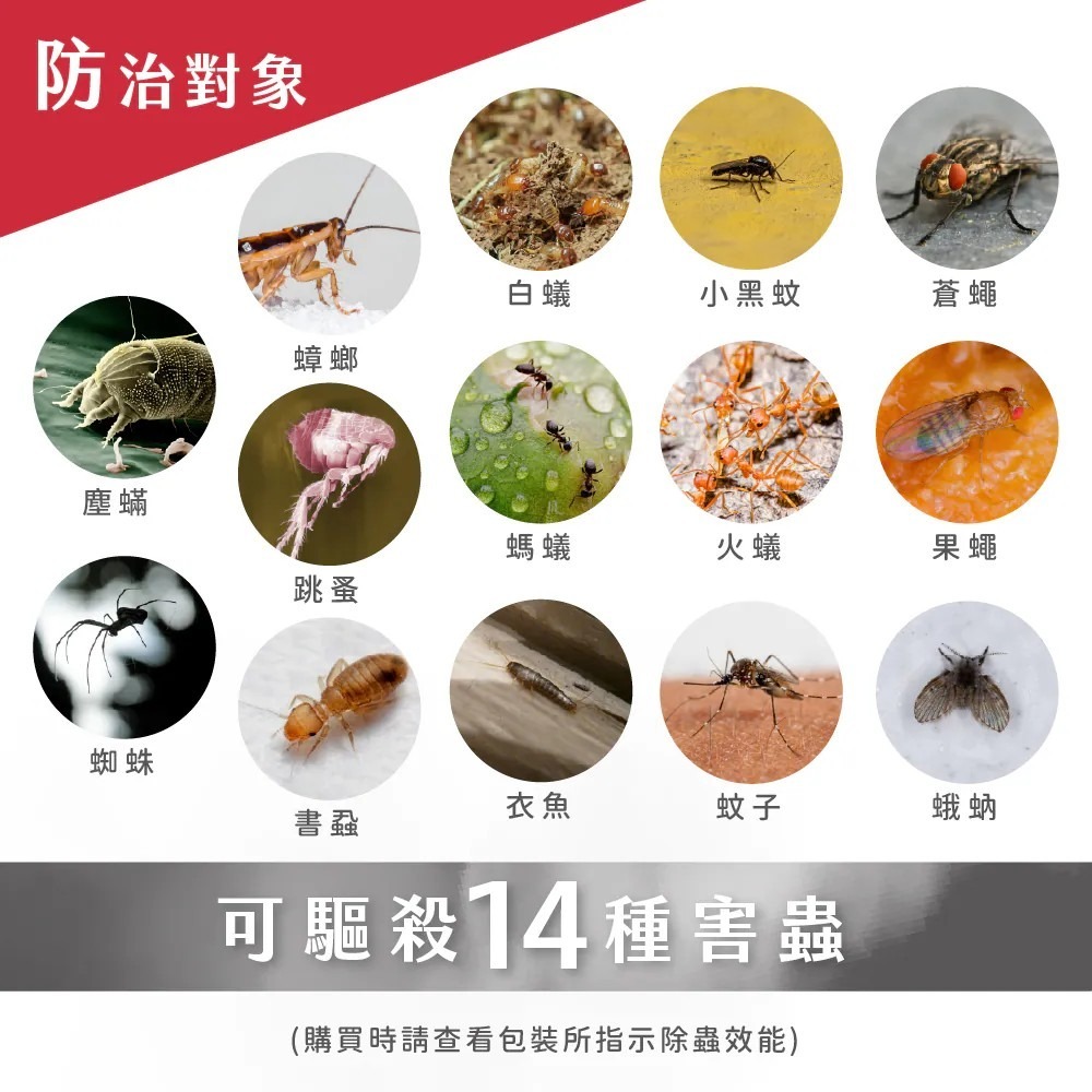 鱷魚 必安住 水蒸式殺螨滅蟑殺蟲劑 20g*3入裝 新包裝上市(可驅殺14種害蟲)-細節圖4
