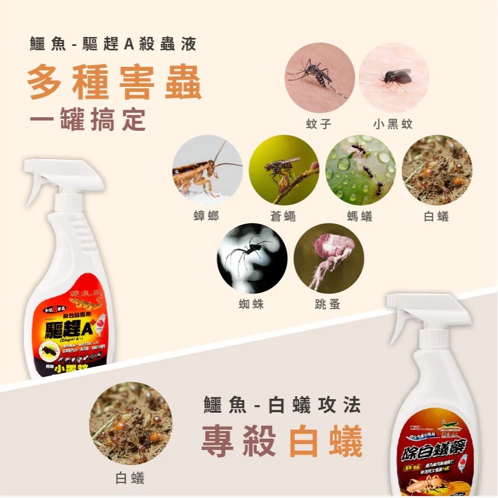 鱷魚 特級白蟻油 驅趕A+殺蟲液 500ml (水性) 防護+滅絕 飯店 民宿均適用-細節圖4