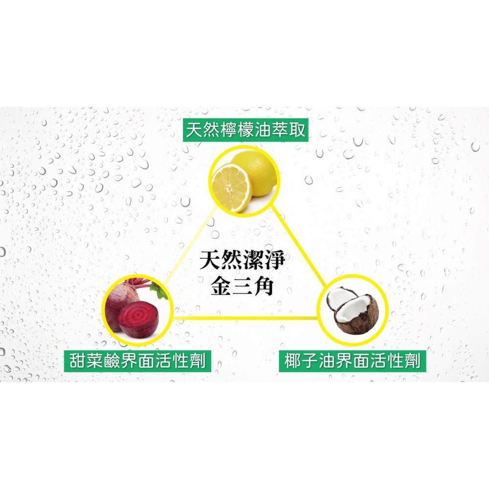 清淨海 環保洗手乳 4000g(一加侖) 一單只能1罐-細節圖4