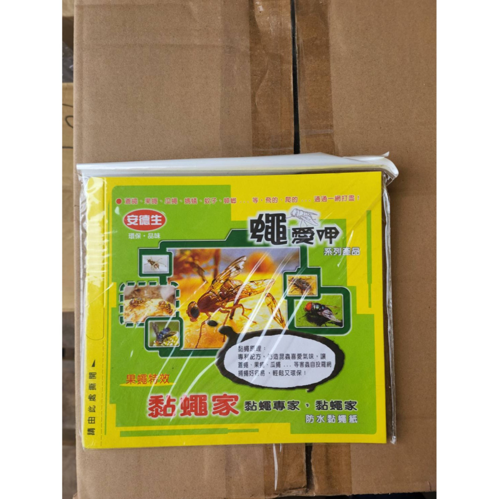 安德生黏蠅紙5入 捕蠅紙 黏蠅板 黏蠅紙-細節圖3