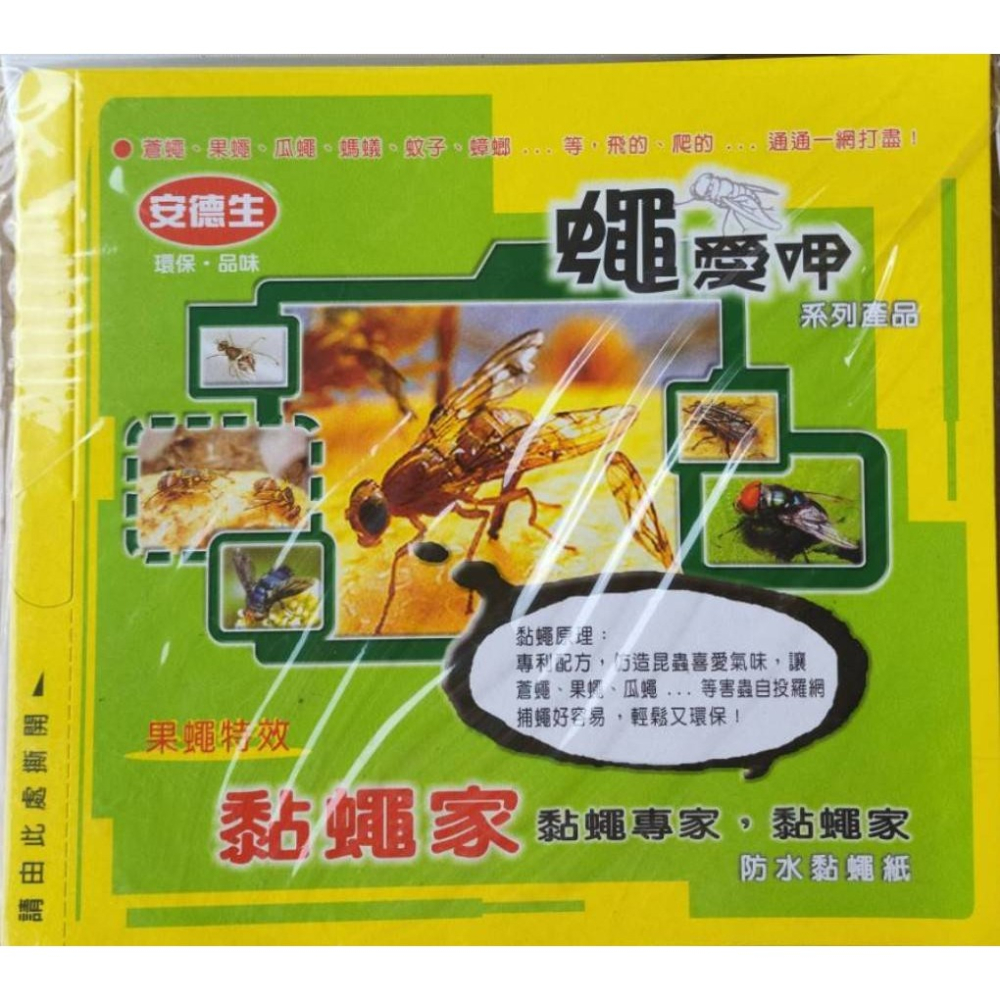 (箱購)安德生黏蠅紙5入*10組/箱(共50個黏蠅紙) 捕蠅紙 黏蠅板 黏蠅紙-細節圖2