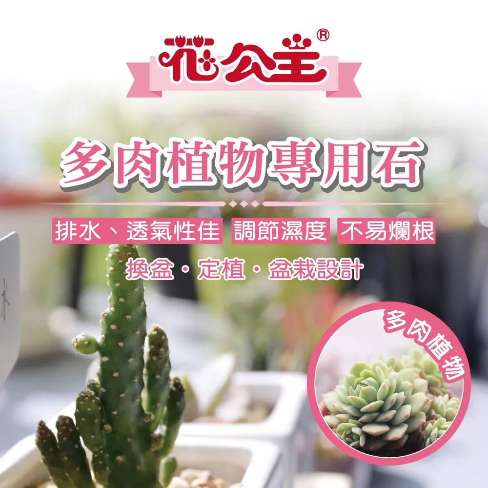 花公主 多肉植物專用石2L-細節圖3