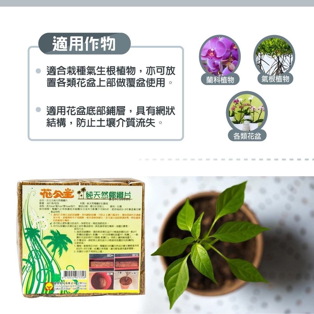 花公主 純天然椰纖片(10片裝)/花公主 天然椰纖板(單片)-細節圖4