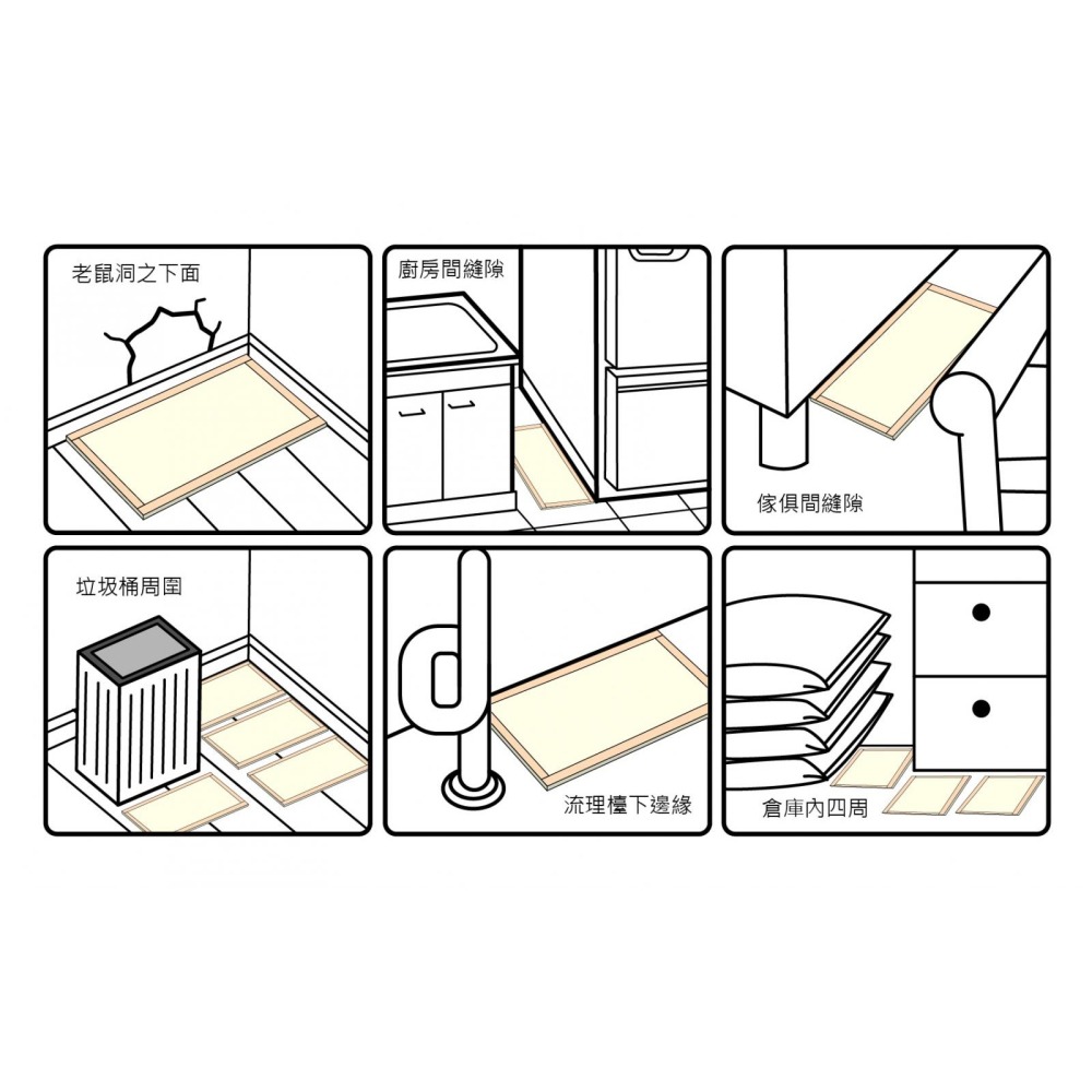 (台灣製)上黏鼠格格-3片入 (16*21CM) 上黏黏鼠板-細節圖3