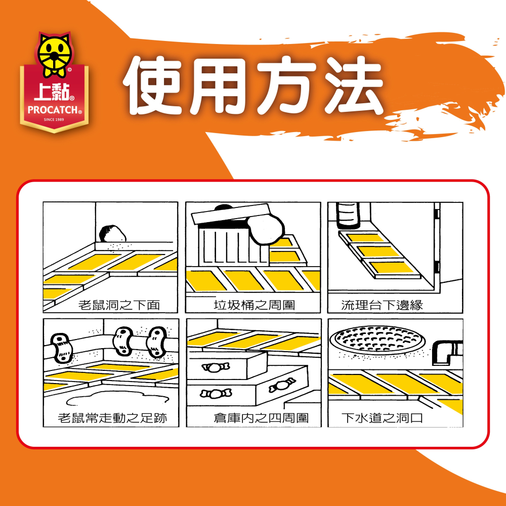 (台灣製)上黏美式黏鼠板-2片裝 (25*13CM)-細節圖4
