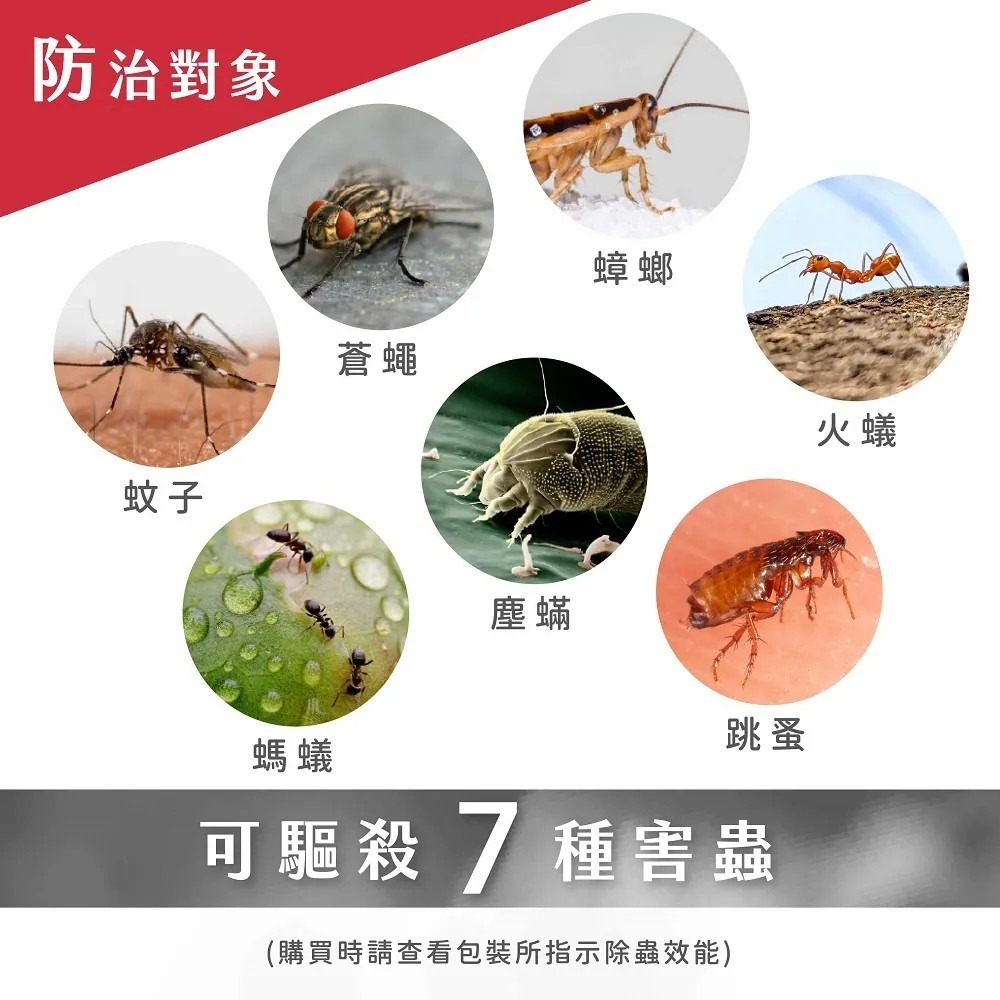 (箱購免運) 鱷魚 氣霧式殺蟲劑 (60g)*12罐/箱 3-5坪 鱷魚氣霧式水蒸-細節圖4
