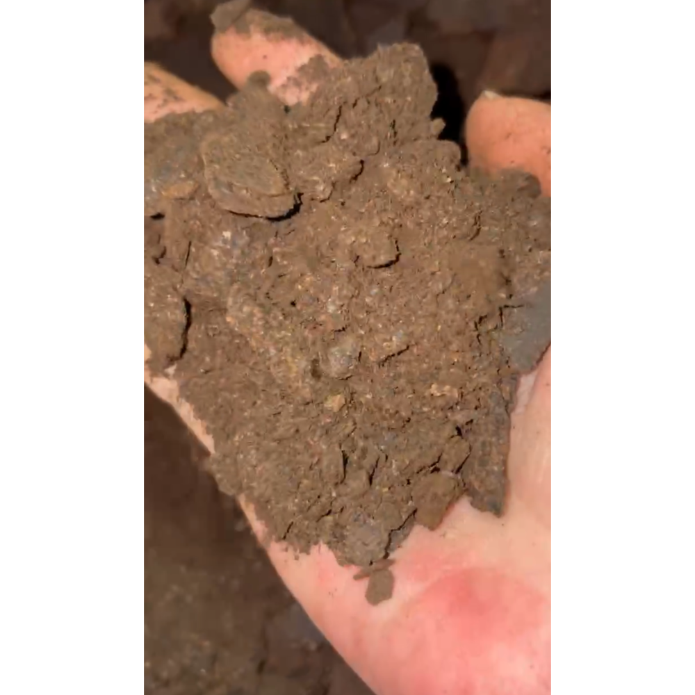 黑芝麻粕 芝麻渣 天然肥料 100%無添加~一包600g只要20元~粗細不一定~粗>硬幣大小~細>粉末-細節圖3