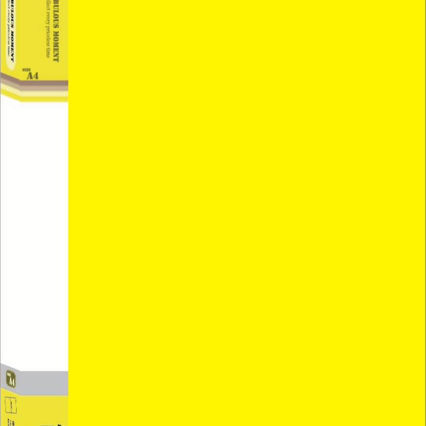 【檔案家】精緻A4右中彈簧夾-黃藍綠黑 可選  (加高) OM-FPP4A06-細節圖6