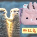 【紳士貓舖】日本動物束口袋 可愛 絨毛束口袋 手機包 鑰匙包 抽繩袋 隨身包 化妝包 盥洗包 收納包 禮物 收納袋-規格圖4