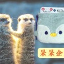 【紳士貓舖】日本動物束口袋 可愛 絨毛束口袋 手機包 鑰匙包 抽繩袋 隨身包 化妝包 盥洗包 收納包 禮物 收納袋-規格圖4