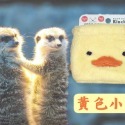 【紳士貓舖】日本動物束口袋 可愛 絨毛束口袋 手機包 鑰匙包 抽繩袋 隨身包 化妝包 盥洗包 收納包 禮物 收納袋-規格圖4
