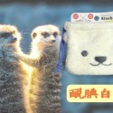 【紳士貓舖】日本動物束口袋 可愛 絨毛束口袋 手機包 鑰匙包 抽繩袋 隨身包 化妝包 盥洗包 收納包 禮物 收納袋-規格圖4
