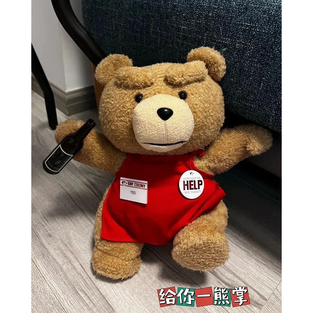 <正版授權>POPMART泡泡瑪特 TED2 熊麻吉 泰迪熊 可動絨毛玩偶 30公分-細節圖6