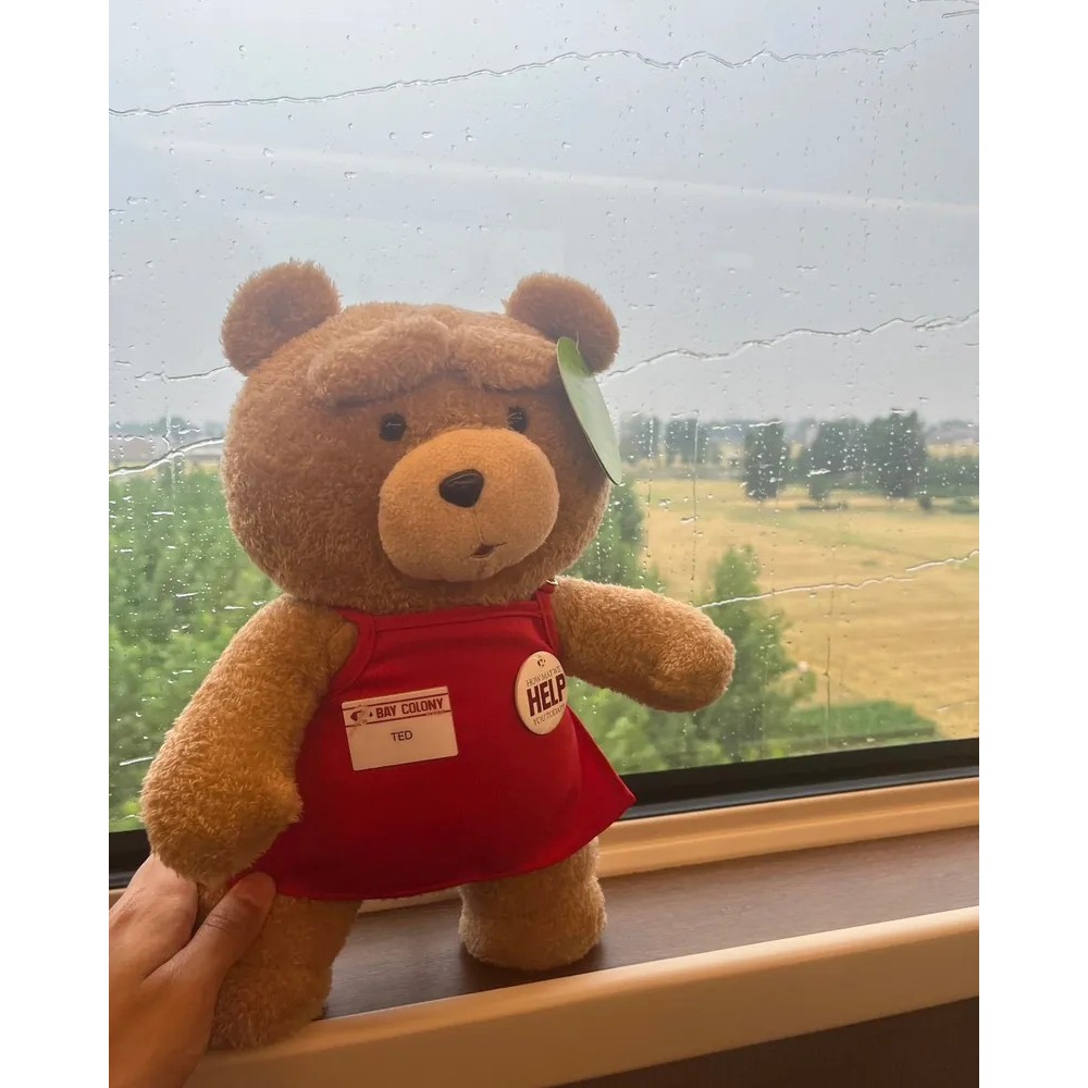 <正版授權>POPMART泡泡瑪特 TED2 熊麻吉 泰迪熊 可動絨毛玩偶 30公分-細節圖9