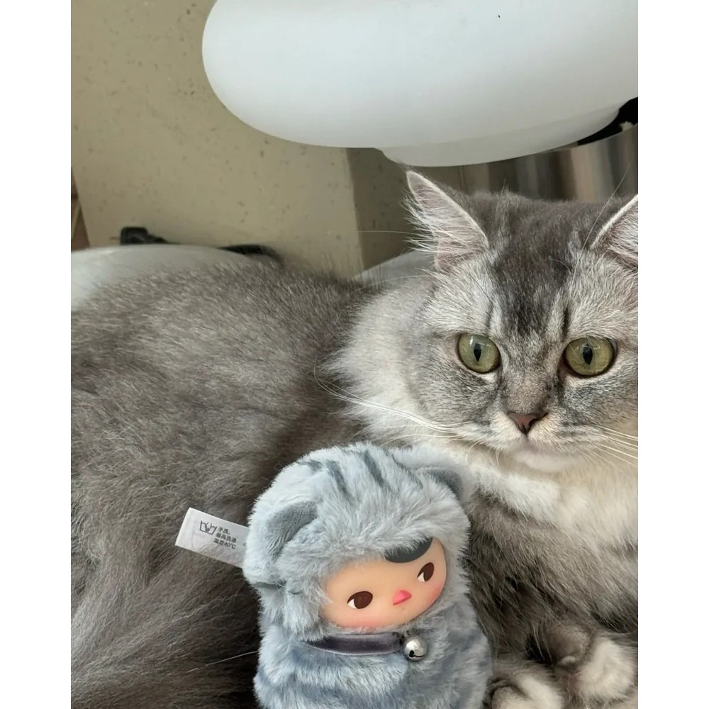 <正版代購>POP MART 泡泡瑪特 PUCKY喵喵 不倒翁系列 糖膠毛絨盲盒-細節圖9