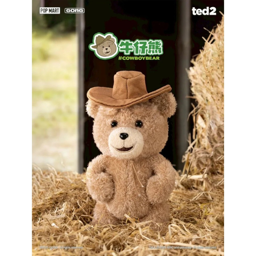 <官方正版授權>POPMART 泡泡瑪特 Ted2 泰迪熊 可動毛絨吊飾 磁吸 公仔 盲盒-細節圖8