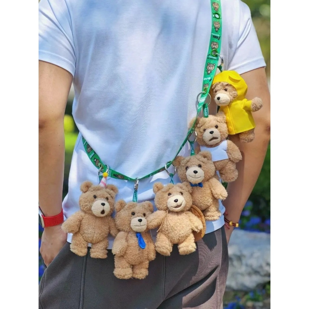 <官方正版授權>POPMART 泡泡瑪特 Ted2 泰迪熊 可動毛絨吊飾 磁吸 公仔 盲盒-細節圖10