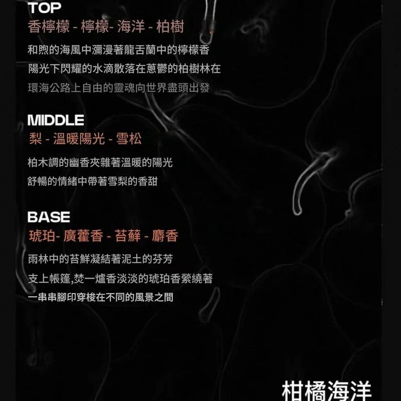 <快速出貨>刺青紋身香水貼紙 Y2K風格圖案 內附10張模板+1罐柑橘海洋香水-細節圖5