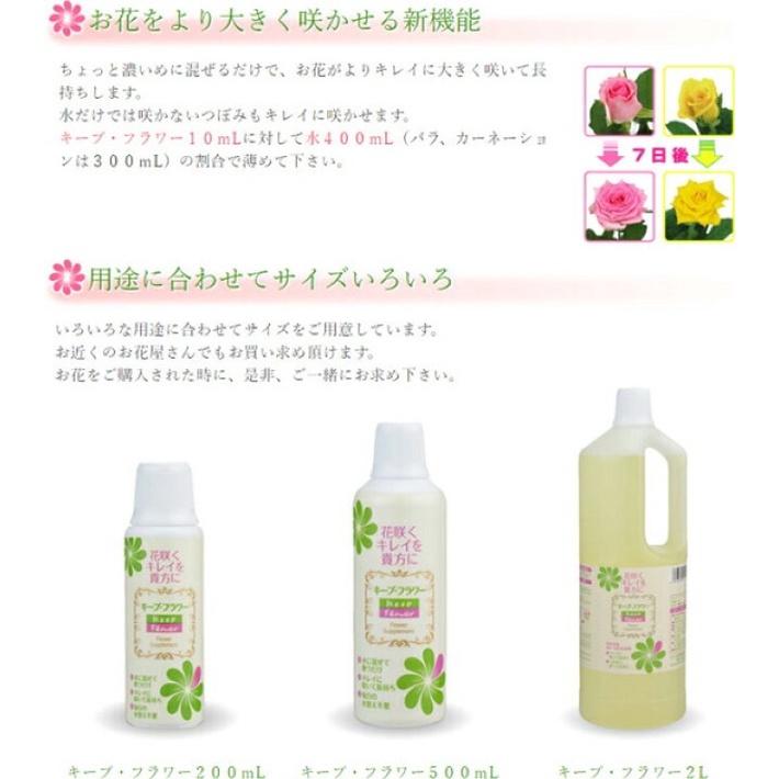 日本最暢銷品牌 Keep Flower 日本精糖 鮮花切花保鮮劑 10ml/包 買5發6-細節圖3