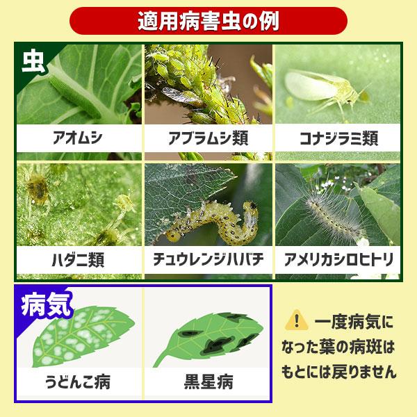 【日本代購速發】Earth 地球牌樂活園藝除蟲病噴霧 天然食用原料製 安全有效｜Hao Plants 🌱植物營養-細節圖2