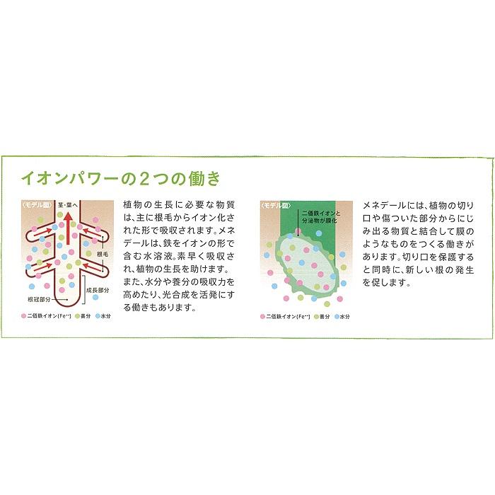 日本原裝 美能露植物活力素 迅速恢復元氣（代購）【 Hao Plants 🌱現貨速發 】-細節圖3