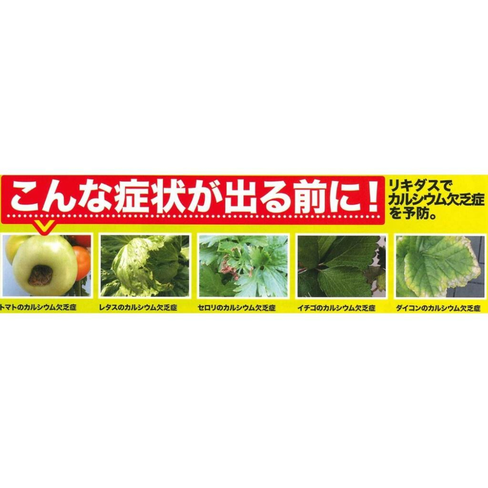 日本Hyponex Liquidus 綜合元素植物用活力液 （代購）【Hao Plants 🌱現貨速發】-細節圖3