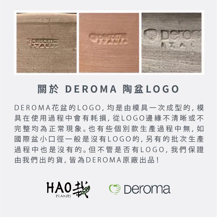 【 Hao Plants 】義大利 DEROMA 經典國際盆 Vaso Standard 現貨-細節圖5