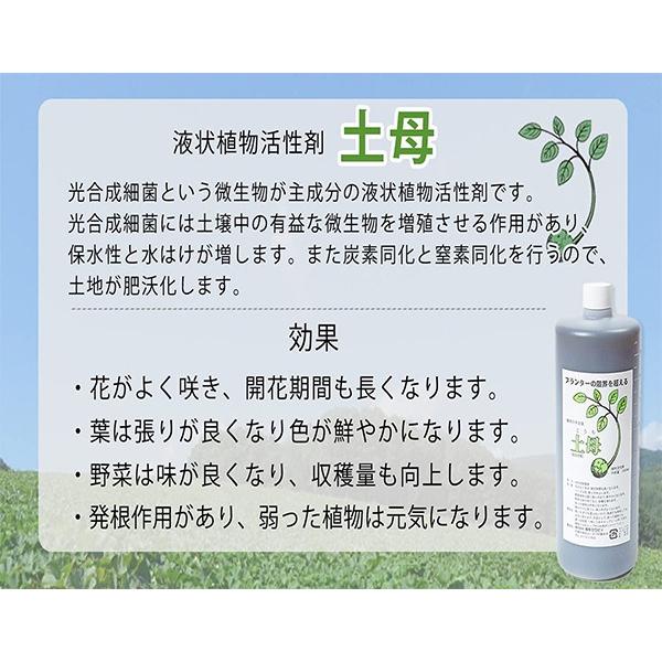 日本製造 植物活性劑 “土母” 觀葉植物葉噴必備 植物元氣恢復 促生根 抽芽（代購）【Hao Plants 🌱現貨速發】-細節圖3