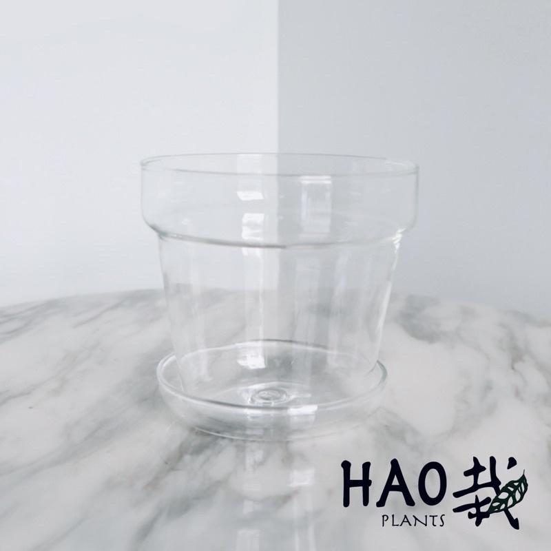 【 Hao Plants 】超質感 美型玻璃手作花盆 水培、土培皆適用-細節圖2