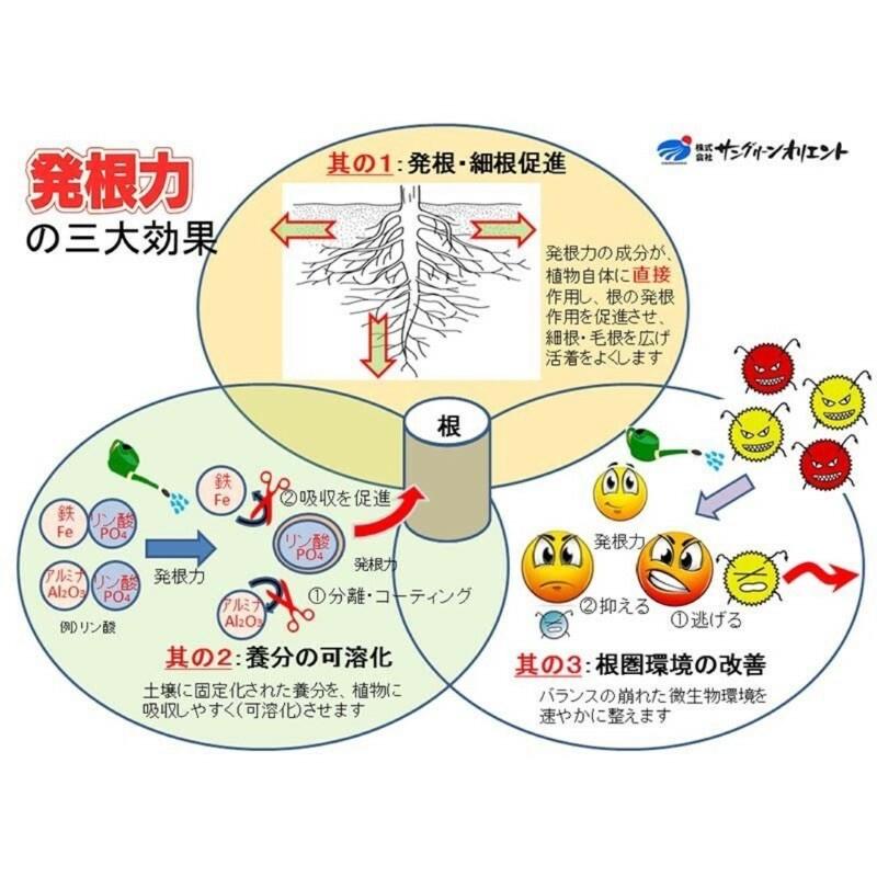 日本開根聖品 【發根力】 促進開根、防止根系老化 、土壤活化、促進肥料吸收（代購）【Hao Plants 🌱現貨速發】-細節圖3