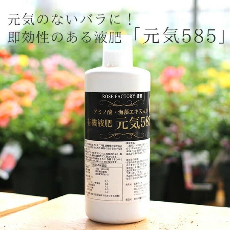 日本 元氣585 速效液態肥料 強化根系 觀葉植物、鹿角蕨適用 100ml（代購）【Hao Plants 🌱現貨速發】-細節圖2