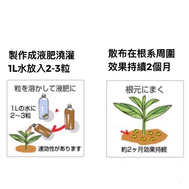 【日本代購速發】Biogold有機緩釋金肥 BO肥 三角肥 分享包 100g ｜Hao Plants 🌱植物營養快速到貨-細節圖3