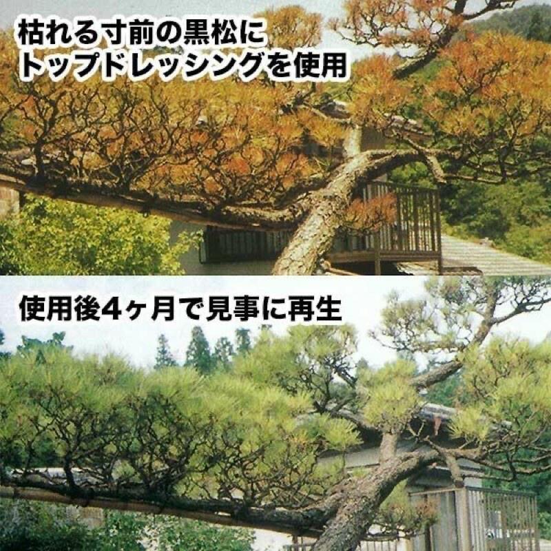 日本GK365 超夯神級營養液 觀葉植物/鹿角蕨/塊根適用（代購）【 Hao Plants 🌱現貨速發 】-細節圖4