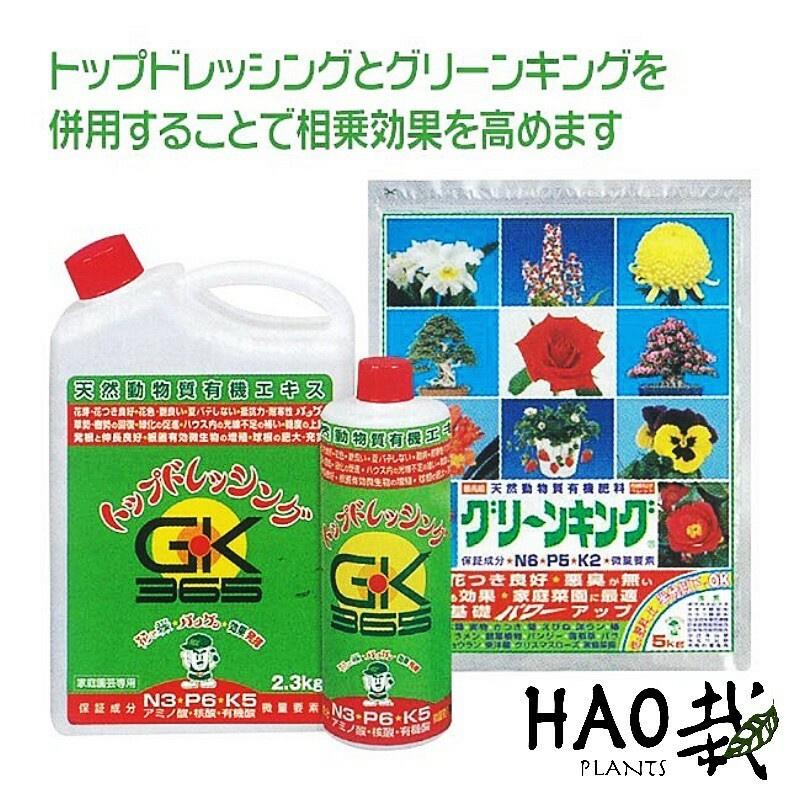 日本GK365 超夯神級營養液 觀葉植物/鹿角蕨/塊根適用（代購）【 Hao Plants 🌱現貨速發 】-細節圖5