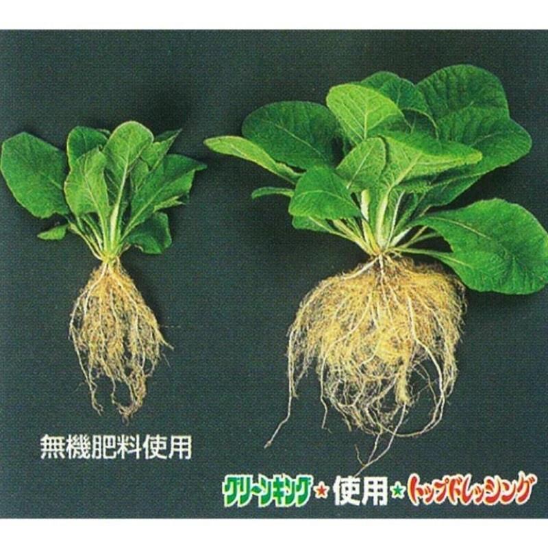 日本GK365 超夯神級營養液 觀葉植物/鹿角蕨/塊根適用（代購）【 Hao Plants 🌱現貨速發 】-細節圖6