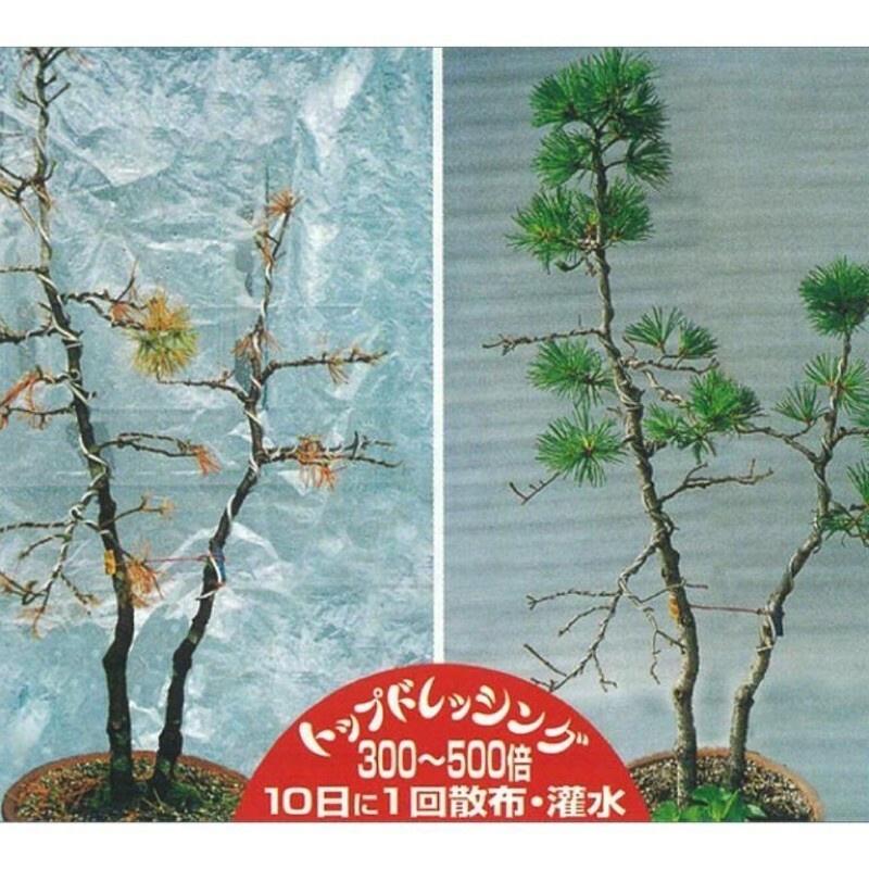 日本GK365 超夯神級營養液 觀葉植物/鹿角蕨/塊根適用（代購）【 Hao Plants 🌱現貨速發 】-細節圖7