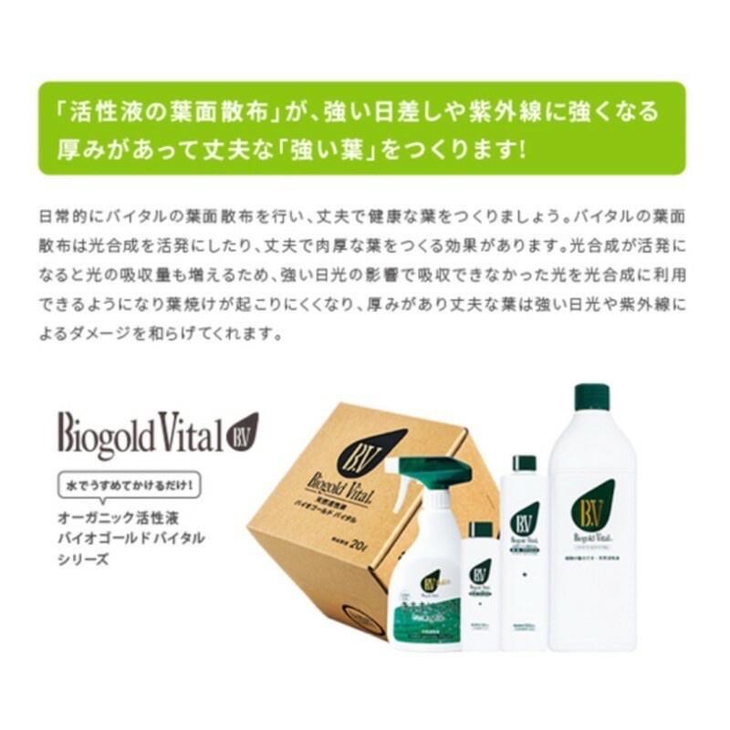 日本製造 Biogold BV 天然植物活性液 活力素 體驗瓶100ml（代購）【 Hao Plants 🌱現貨速發 】-細節圖4
