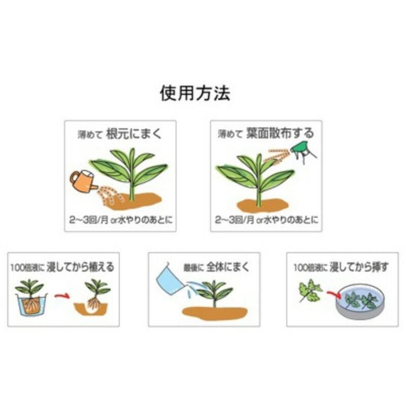 日本製造 Biogold BV 天然植物活性液 活力素 體驗瓶100ml（代購）【 Hao Plants 🌱現貨速發 】-細節圖6